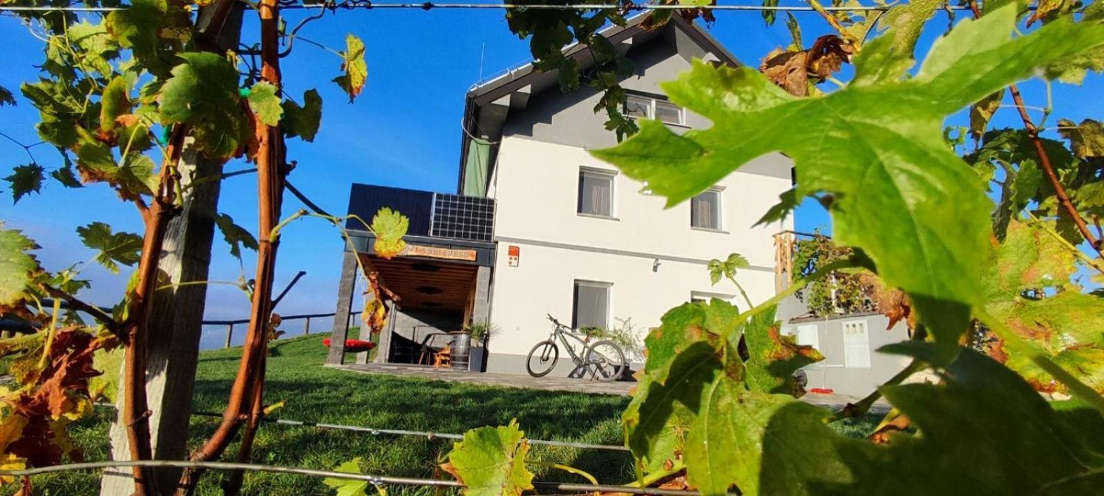 Apartmaji Gracner Dramlje Exterior foto